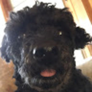 Meet your Posher, Lr